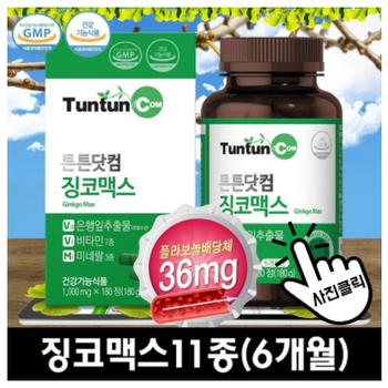  기억력 감퇴엔 혈액순환개선제 징코멕스