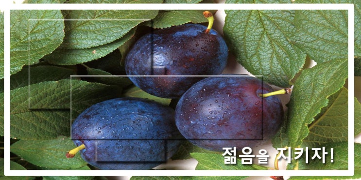  장수비결.젊음을 지키자.
