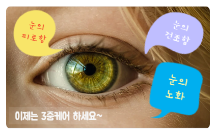 김혜수가 선택한 눈건강 빌베리플러스로 3중케어 하세요~