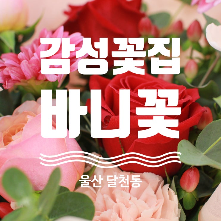  울산 감성 꽃집 바니꽃