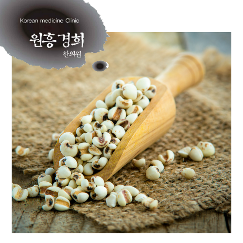  율무