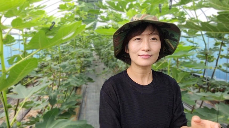  지혜로운 농부가 무화과를 잘 키웁니다