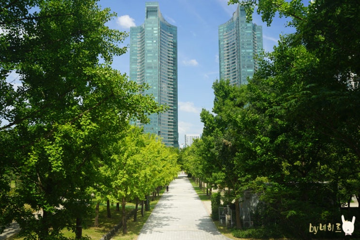 서울 나들이 서울숲 랜선 산책하세요