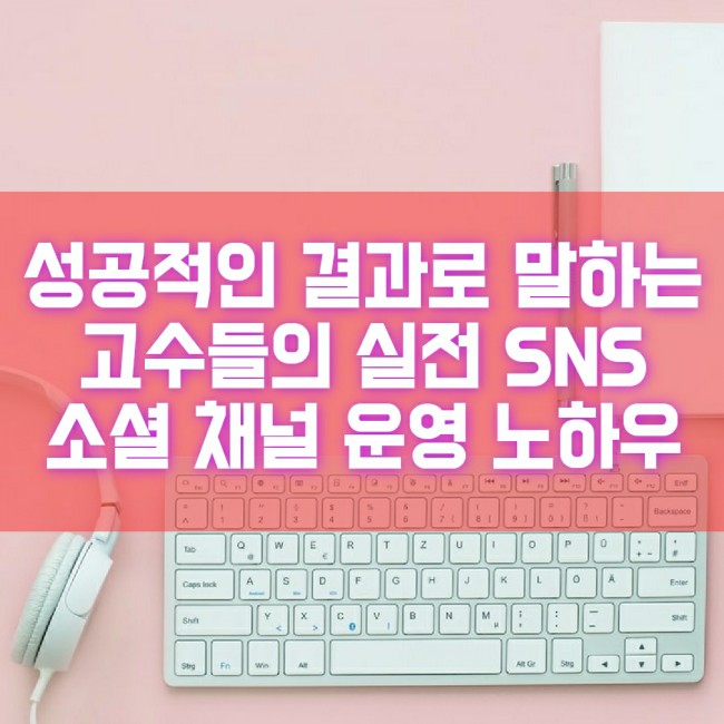  성공하는 소셜 채널 운영 노하우 인생책추천 솔직 책리뷰 SNS 고수들의 실전 비법