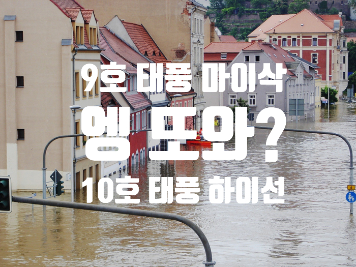  10호 태풍 하이선.. 요즘 왜이렇게 태풍 많이 와 정말!