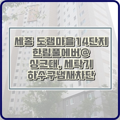  세종하수구냄새차단 벌레 악취 OUT! 쾌적해져요~