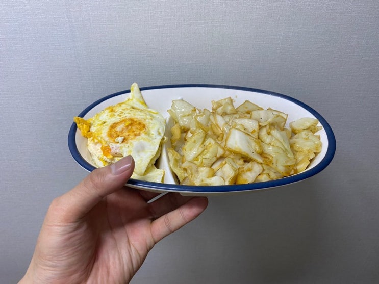  저탄고지-lchf 리부트 D+2