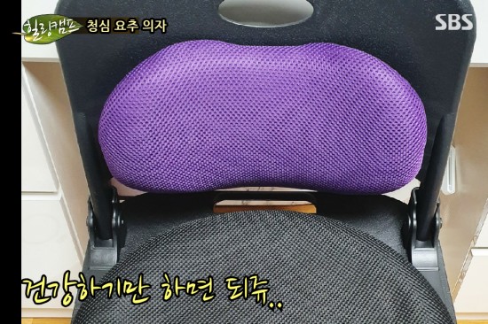 재택근무 의자 구매 :: 좌식 등받이 요추 의자 & 시디즈 T50 재택근무 의자 구매 :: 좌식 등받이 요추 의자 & 시디즈 T50
