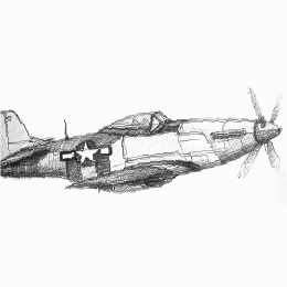 볼펜으로 그린 " P-51 머스탱 " / Drawing with ballpoint pen " P-51 Mustang "