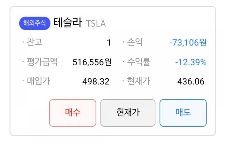 주식 분할 후 테슬라 1주 매수 후기 + 처참한 수익율 (feat, 나의 생각)