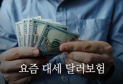 '연 50%대 성장·투자대안' 달러보험…삼성·한화생명도 '눈독' '연 50%대 성장·투자대안' 달러보험…삼성·한화생명도 '눈독'