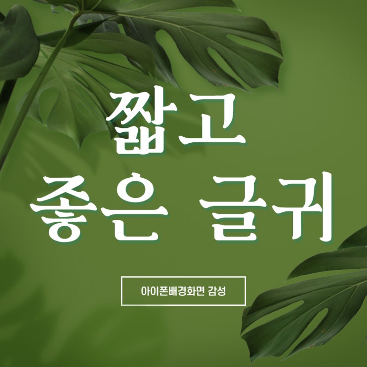 짧고 좋은 글귀 아이폰 배경화면 감성