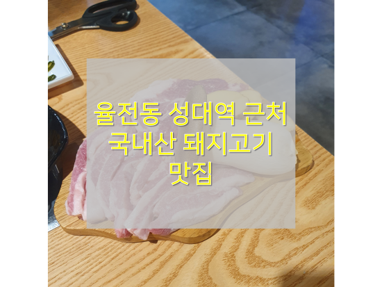  [수원 율전동맛집/돈올림] : 성대역 근처 돼지고기 세트구성이 좋은 식당 추천!
