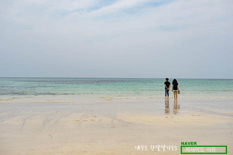  올해 해수욕장으로 지정된"월정리해변" [제주도 한달살기 숙소 씨사이드 이든 추천]
