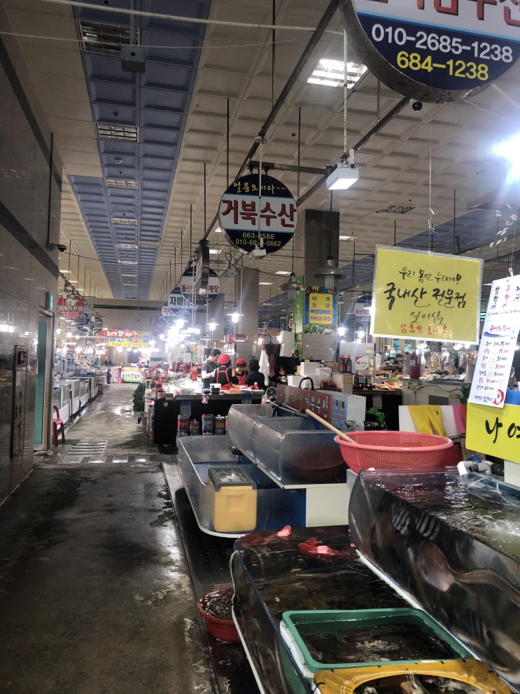  여수 <수산시장> 방문 후기