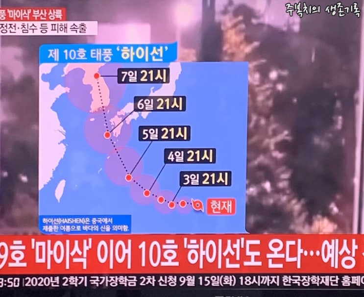 9호 태풍 마이삭 경로 서울 도착은 언제?/ 다가오는 10호 태풍 하이선 경로는?