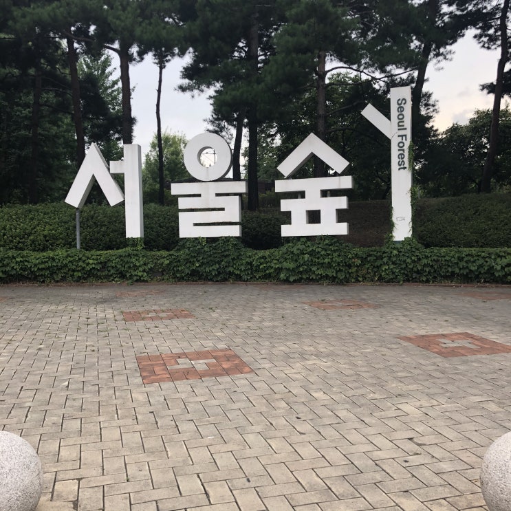  성동구 서울숲