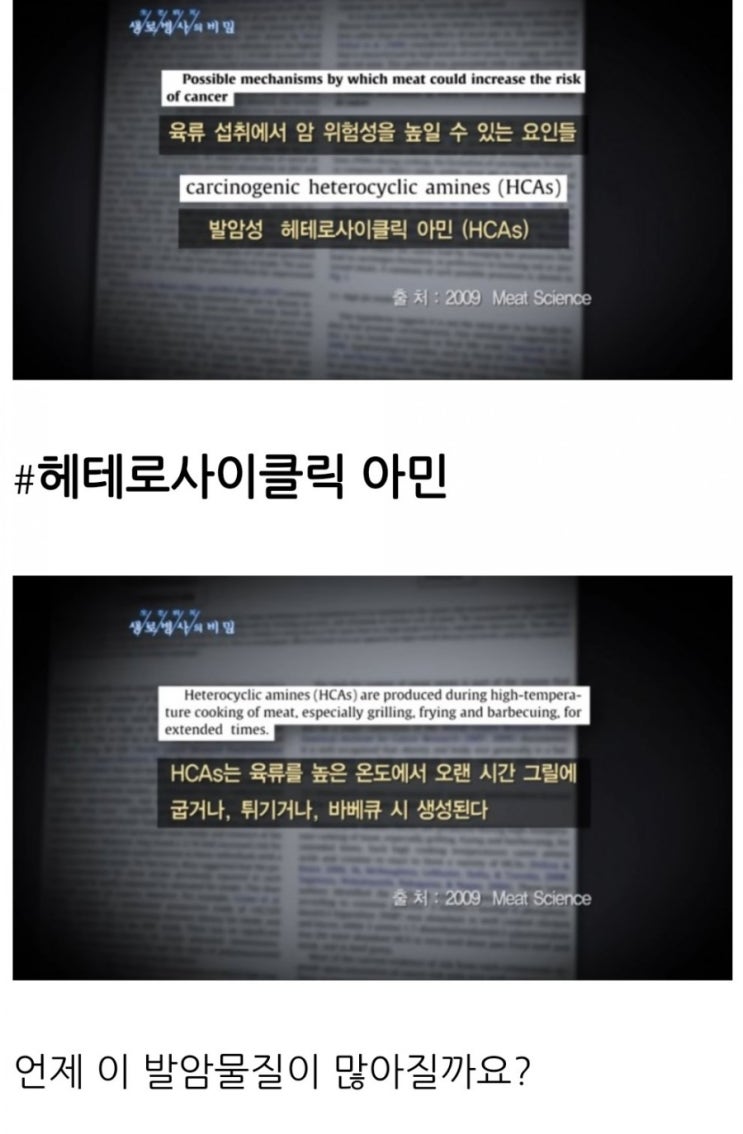  [1년 전 오늘] 삼겹살 올바른 섭취법 3가지와 #헤테로사이클릭 아민