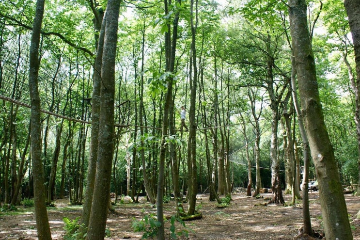 숲 속 나무 사이 숲 길 그물 출렁다리 이색 체험