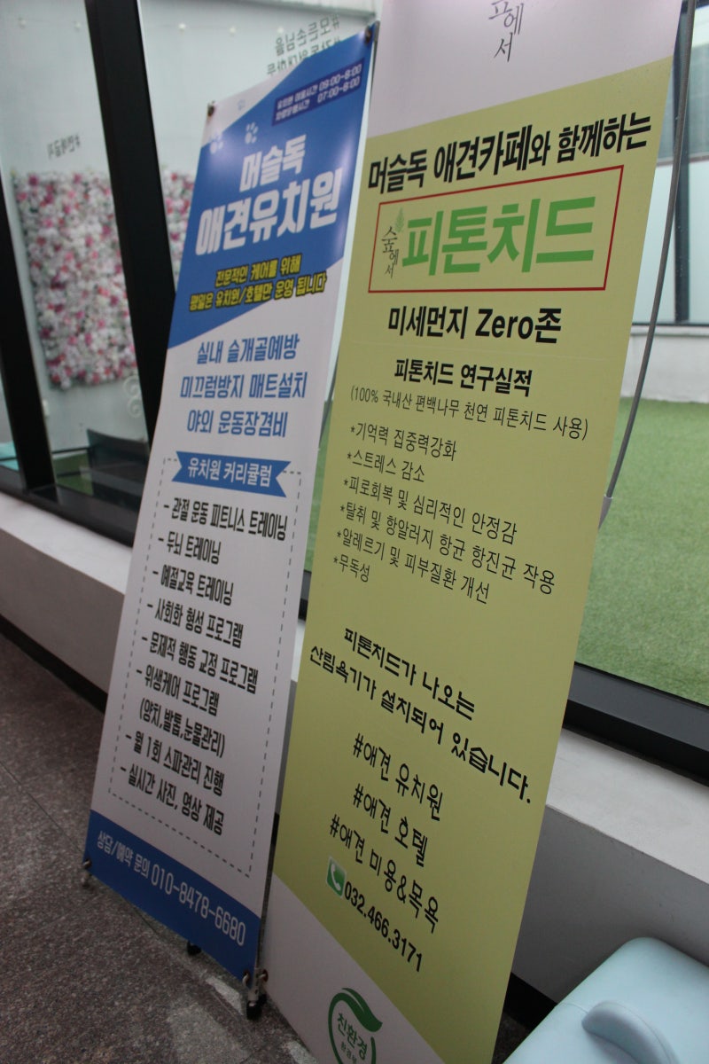 사진 4