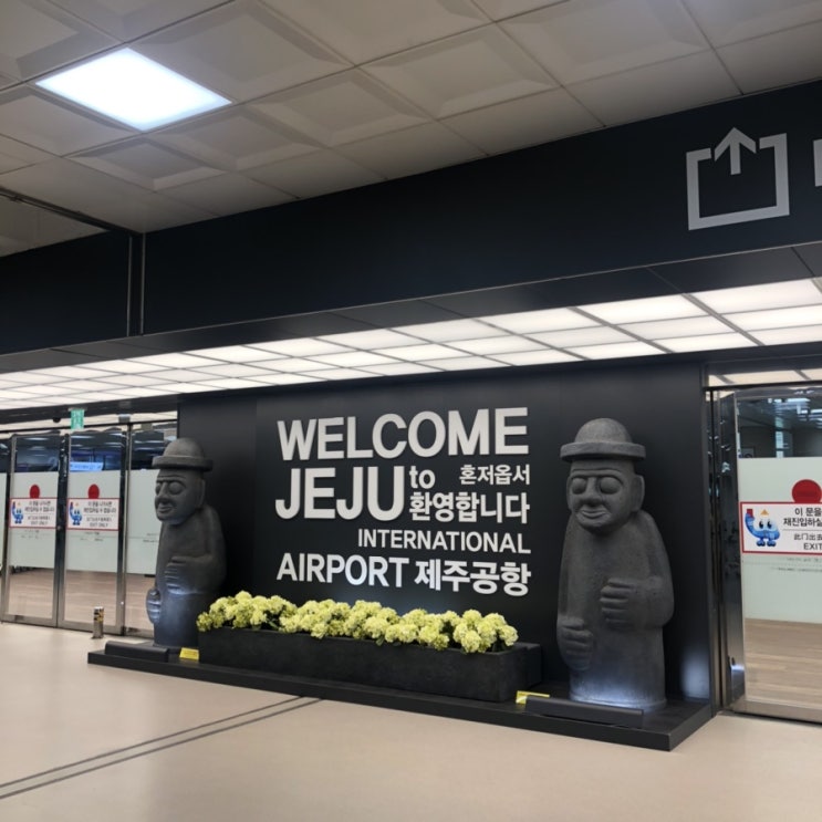  제주도 2박3일 여행 (1일차) 서귀포 여행/노라바/이호테우해수욕장/올레시장/딱새우/코업시티호텔 하버뷰