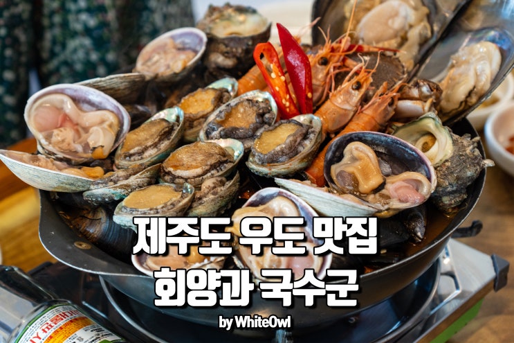  제주도 우도 맛집 회양과국수군에서 돌문어해물탕은 먹어야지