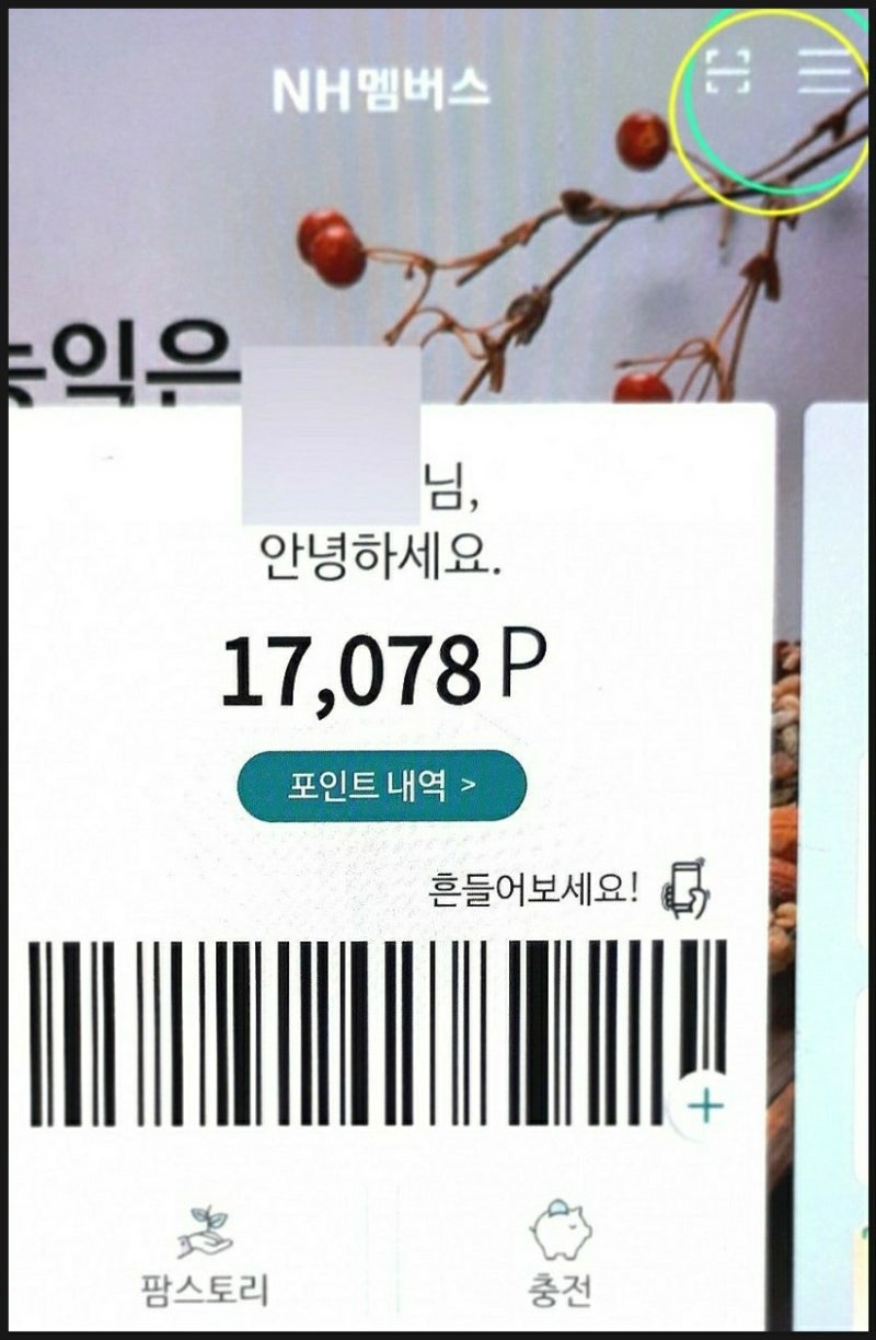 NH 맴버스 포인트 현금으로 받기~*(농협 하나로 마트 적립 포인트 사용법)*NH 맴버스로 앱테크 하기* : 네이버 블로그 Nh 맴버스 포인트 현금으로 받기~*(농협 하나로 마트 적립 포인트 사용법)*Nh 맴버스로 앱테크 하기* : 네이버 블로그