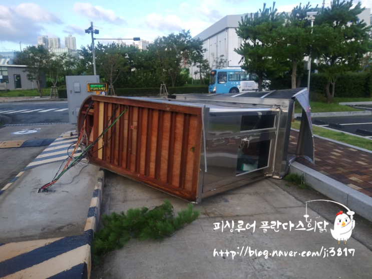  부산 역대급 태풍 피해 마이삭(MAYSAK) 실시간 소식