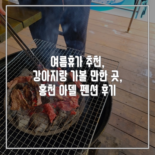  여름휴가 추천, 강아지랑 가볼 만한 곳, 홍천 아델 펜션 후기