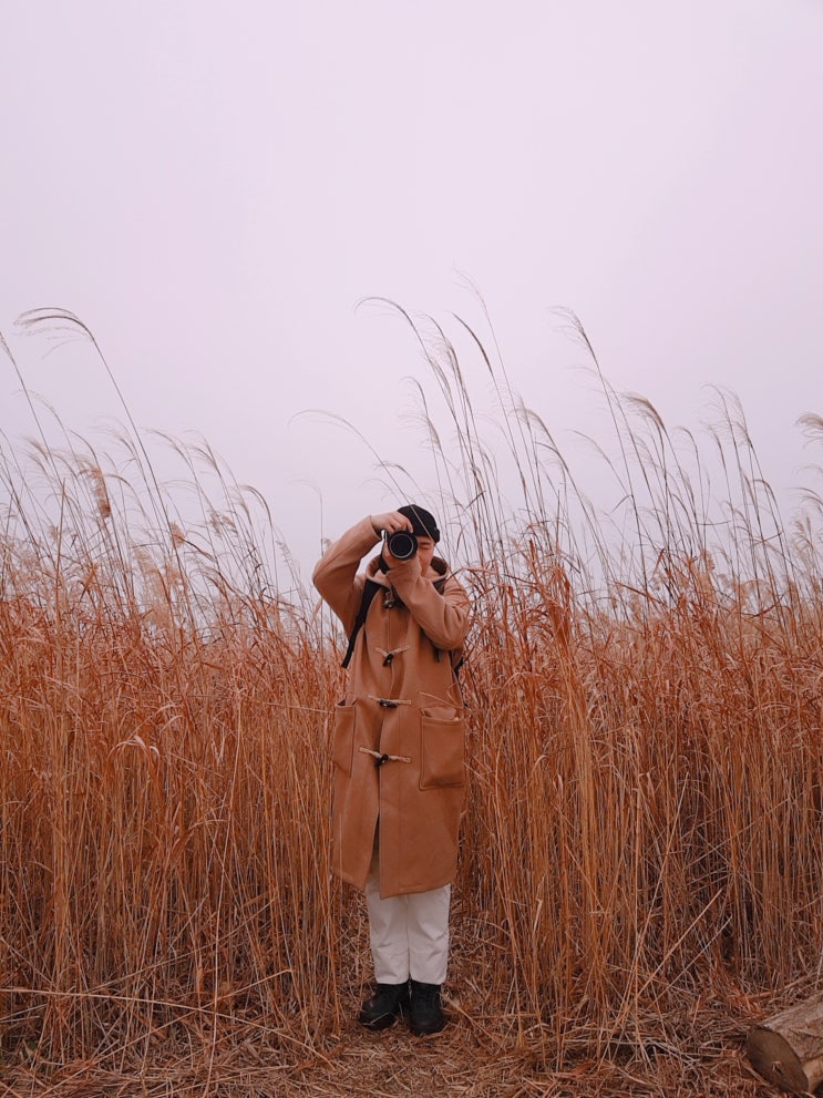  니콘 D750 DSLR 카메라 구매 망설이는 입문자를 위한 추천