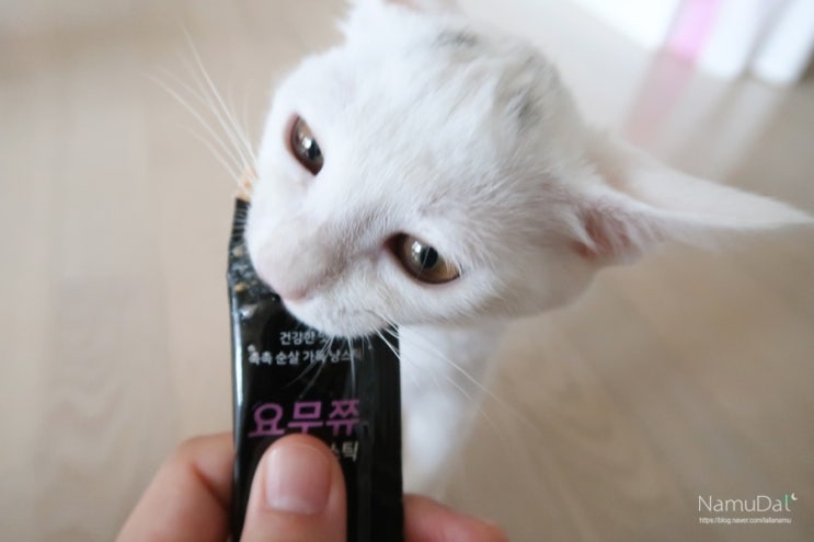  집사 마음 담은 고양이 츄르 요무쮸 말랑스틱 추천해요