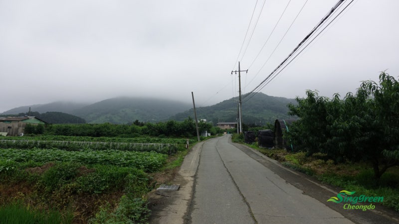 경북 주말에 가볼만한 곳 :: 청도 남산의 고즈넉한 사찰 멋스러운 ...