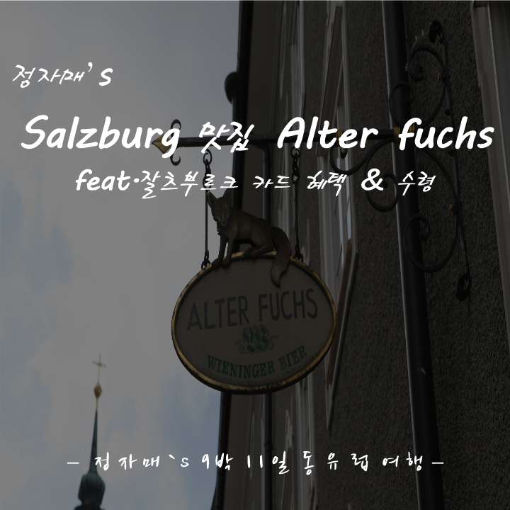  #9 잘츠부르크, 잘츠부르크 카드 혜택 그리고 맛집 '알터폭스'