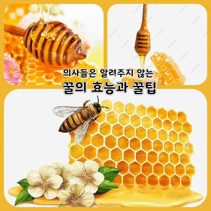  의사들은 알려주지 않는 꿀의 효능과 꿀팁