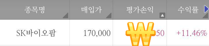  SK 바이오팜  후기