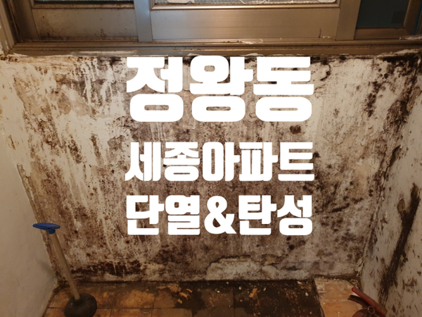  정왕동 세종아파트1차 베란다 단열시공 후 바이오세라믹