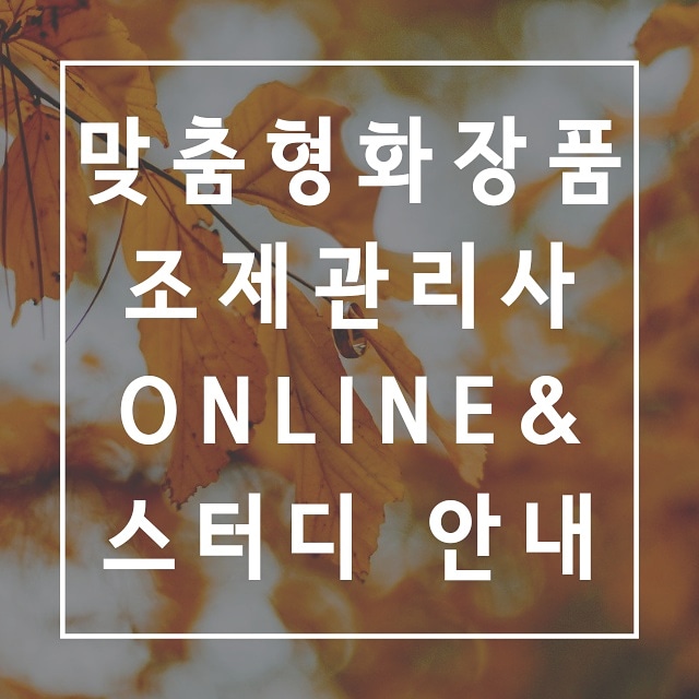  대전 맞춤형화장품조제관리사 대비반 비대면 수업공지, 대면가능