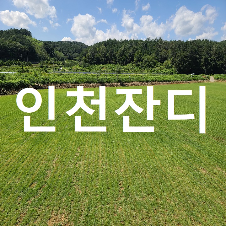  세계 최고 공항이 있는 인천 잔디 배송
