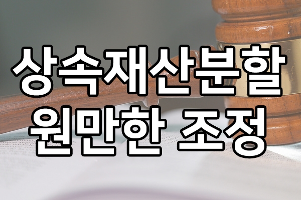 상속재산분할, 원만한 조정을 이끌어낸 사례