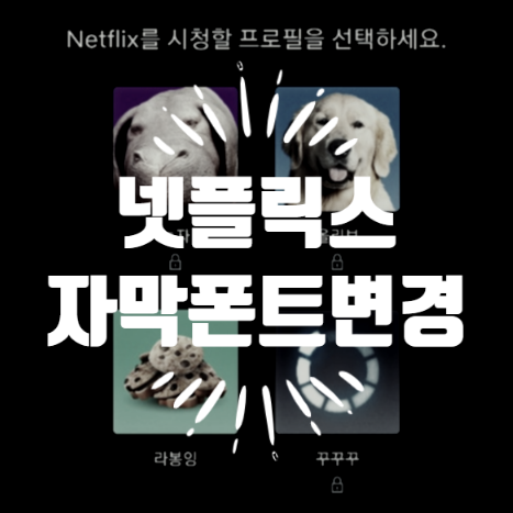  넷플릭스 자막폰트 변경 아주쉽게 (모바일 가능!)
