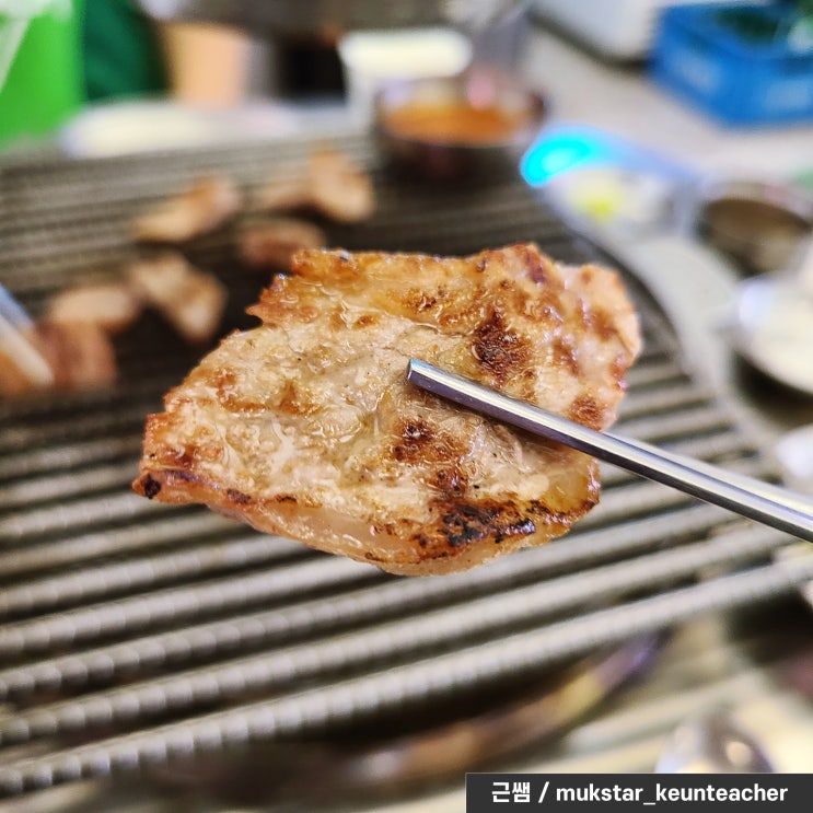 마포 도화동 고기 맛집, 모소리에서 돼지 특수부위를 먹어본 후기