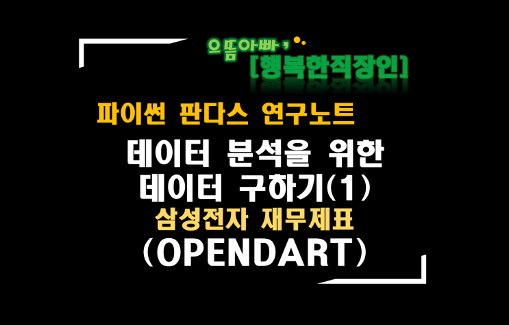  [판다스 연구노트] 데이터 분석을 위한 데이터 구하기(1)(OPENDART 삼성전자 재무제표)