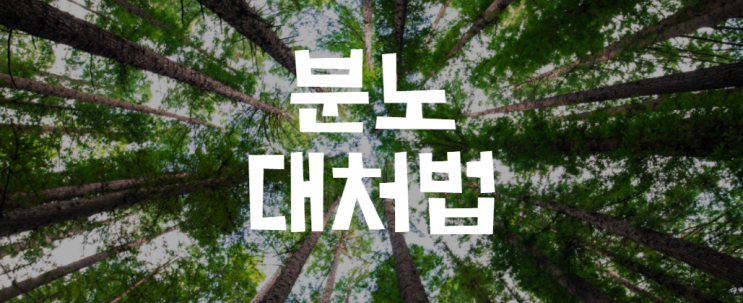  화병 증상,화를 다스리는 법[인지심리학,정신건강의학 화병 솔루션]