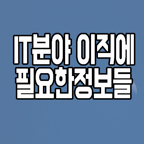  IT이직 : 분야 및 전공 그리고 학력에 따른 준비 방법
