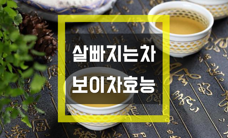 [살빠지는차로 유명한 보이차] 보이차의 효능을 소개합니다.