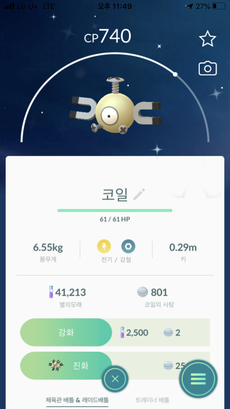  코일 이로치