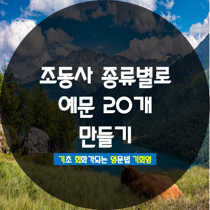 조동사 동사원형 do 예문 20개 만들며 연습 -기회영