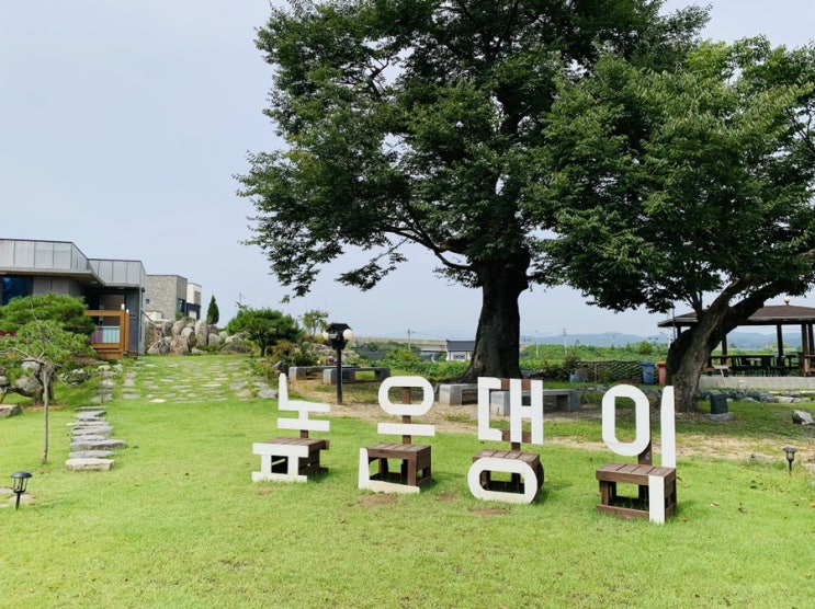  부여가볼만한곳 조용한 부여 카페 '높은댕이' 사진찍기 좋은 카페인거 같아요.(feat.갤러리 구경은 서비스)