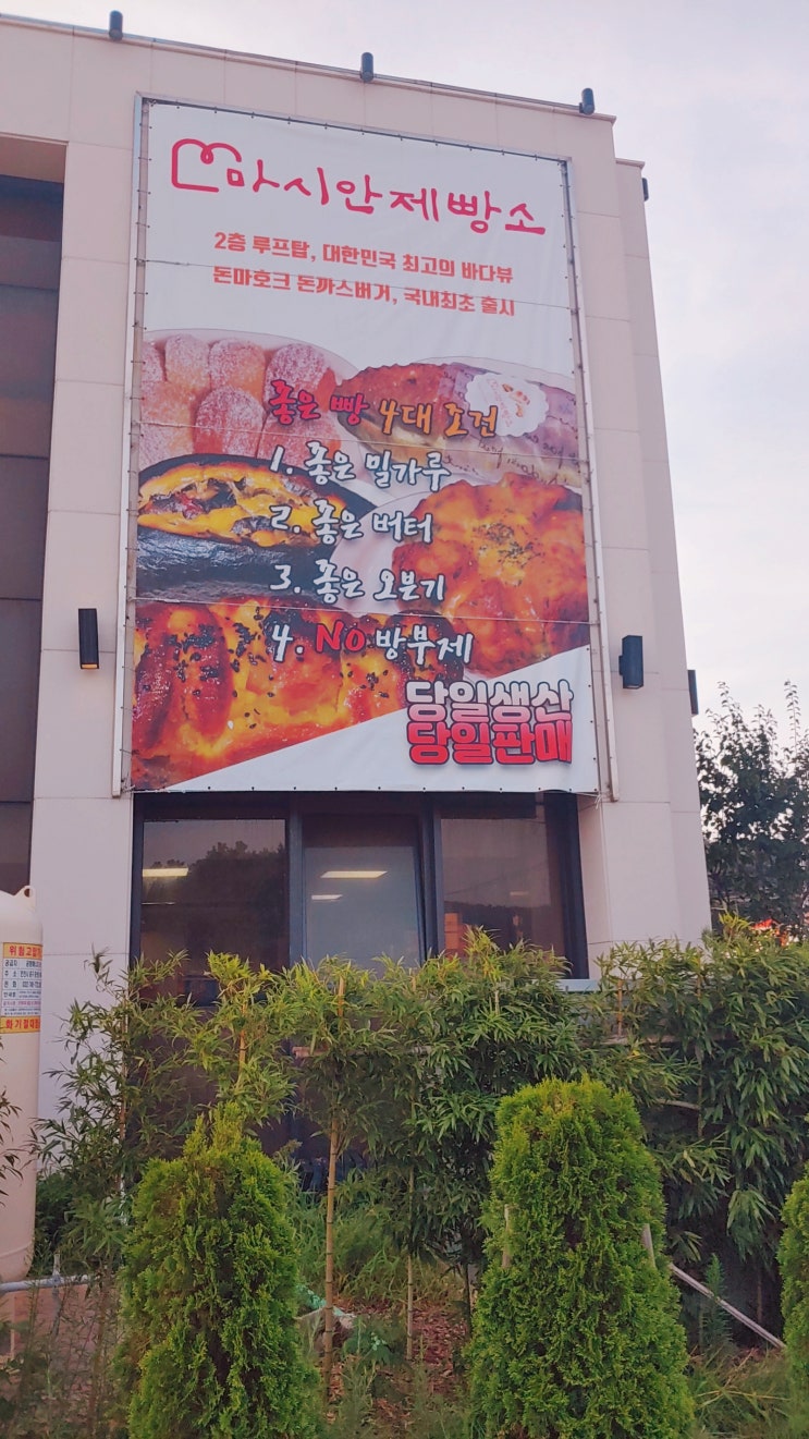 영종도 마시안제빵소 해지는 풍경
