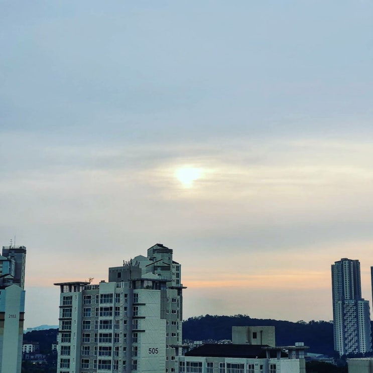 사회적거리두기 2.5단계 불황없는 배달전문맛집 회사가는날